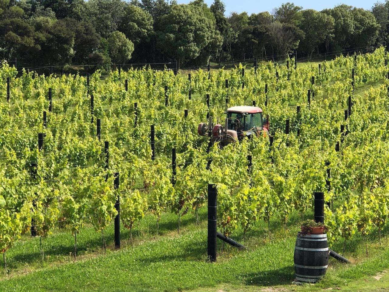 La Bodega Waiheke Island Ξενοδοχείο Surfdale Εξωτερικό φωτογραφία