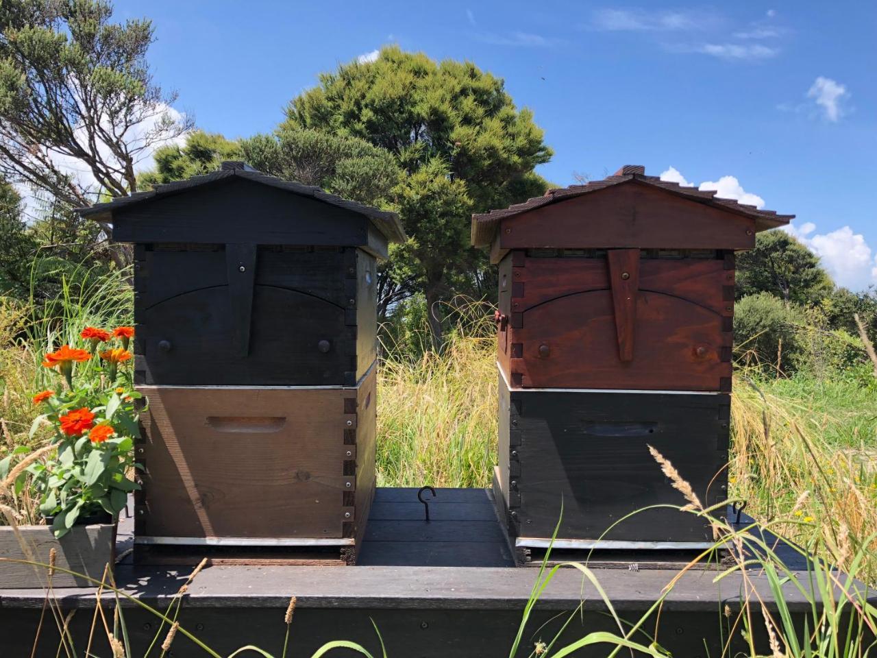 La Bodega Waiheke Island Ξενοδοχείο Surfdale Εξωτερικό φωτογραφία